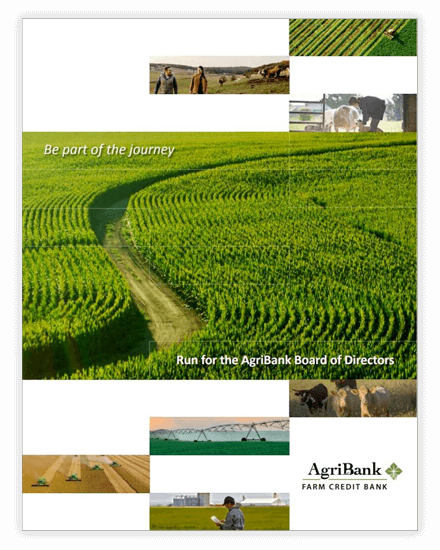 AgriBank Elections Brochure